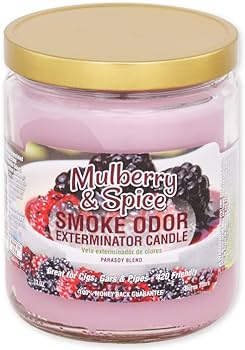 Smoke Odor- Exterminator Candle: Mulberry & Spice