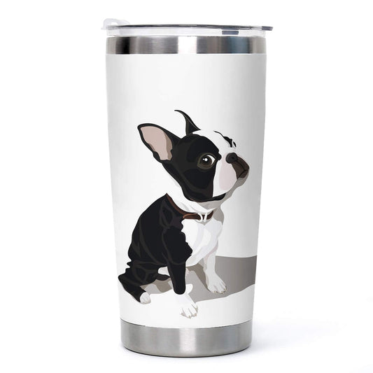 Tumbler-Boston Terrier