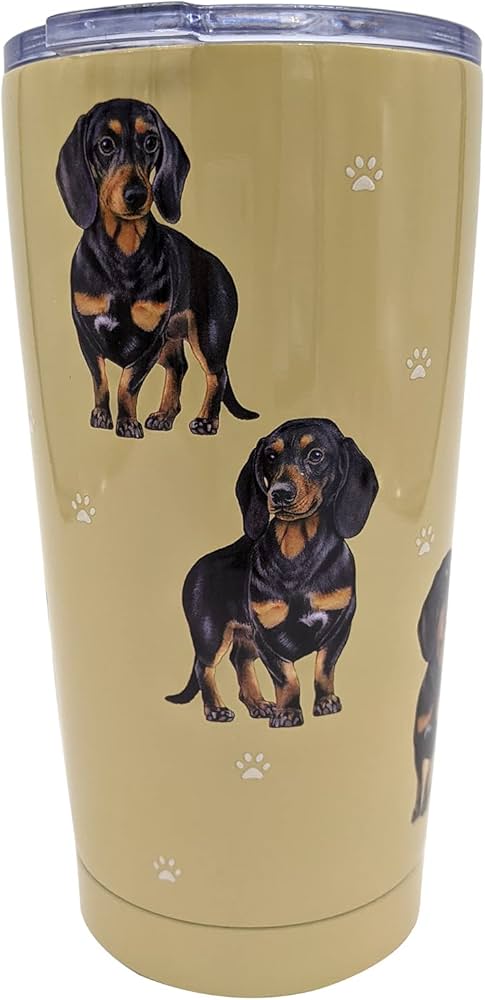 Tumbler-Dachshund,black