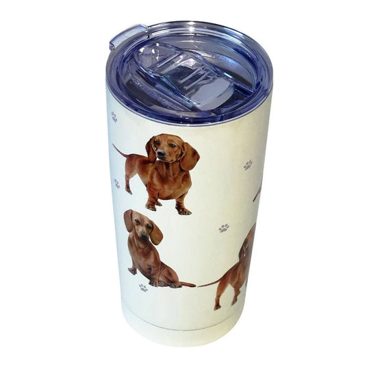 Tumbler-Dachshund,red-115-13